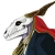 Elias Ainsworth